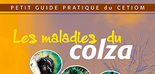 guide_maladies_colza_p.png
