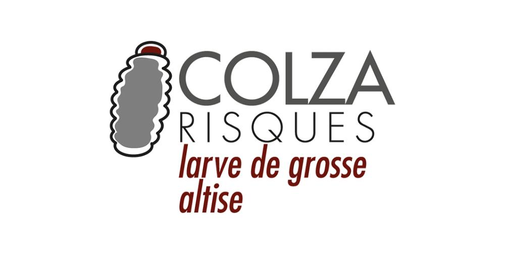 OAD larves d'altise adulte colza