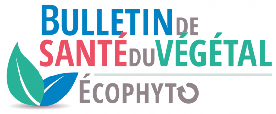 Logo bulletin du végétal (BSV)