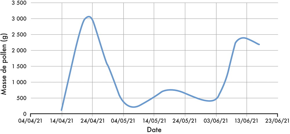 graph-evolution-masse-pollen-collecte