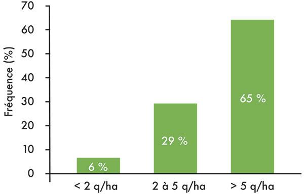 Graphique perte de rendement colza hybride