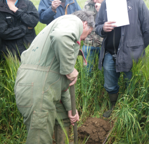 éviter le tassement du sol pour l'implantation du colza