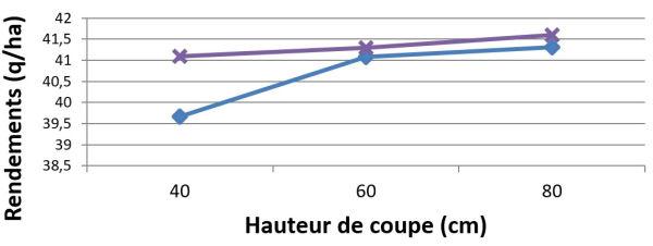 rendement par rapport à la hauteur de coupe du colza à la récolte