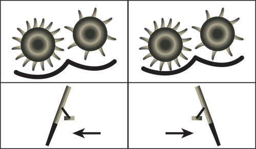 schéma tire-paille colza