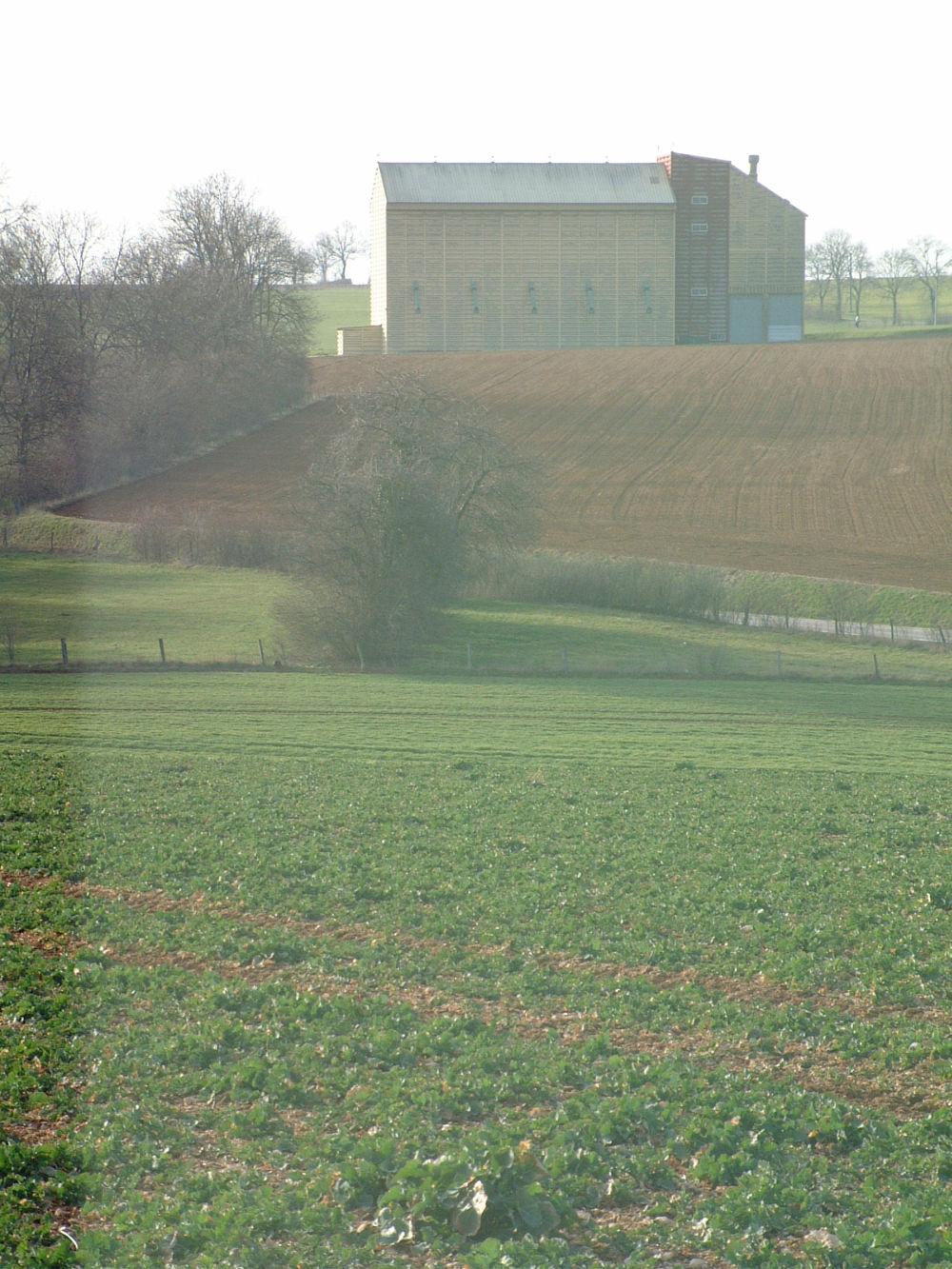 stockage du colza