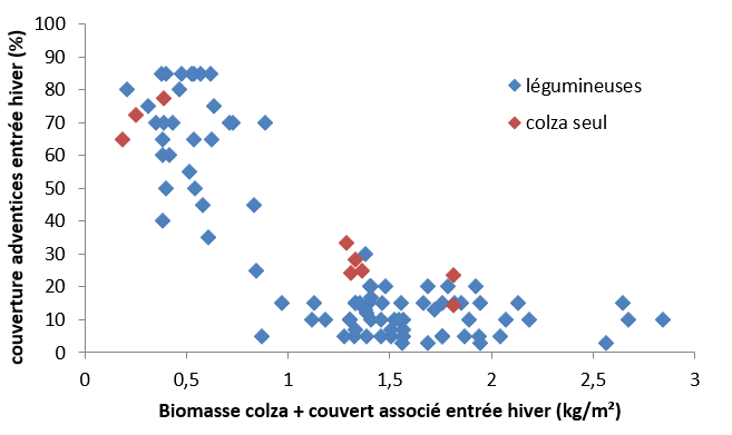 biomasse colza + couvert associé entrée hiver