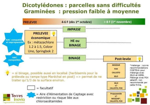 dicotylédones : parcelles sans difficultés