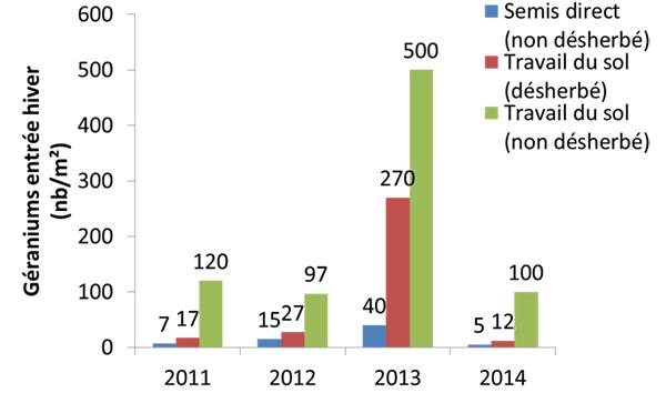 impact du semis direct sur géranium par rapport au travail du sol 