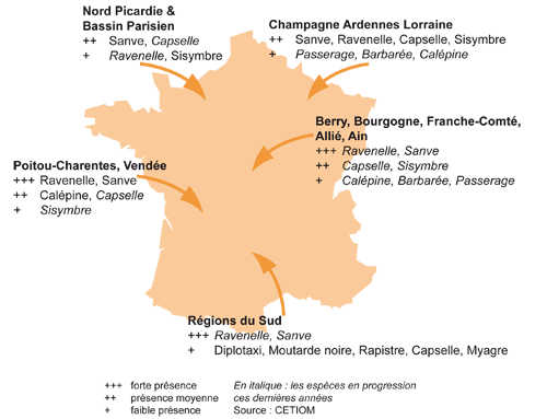 repartition geographique des principales cruciferes adventices du colza