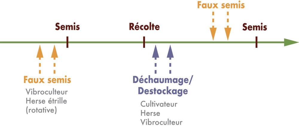 Schéma déchaumage colza