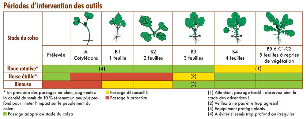 Périodes d'intervention des outils mécaniques sur colza