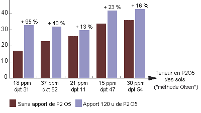 graphique avec et sans apport de P205