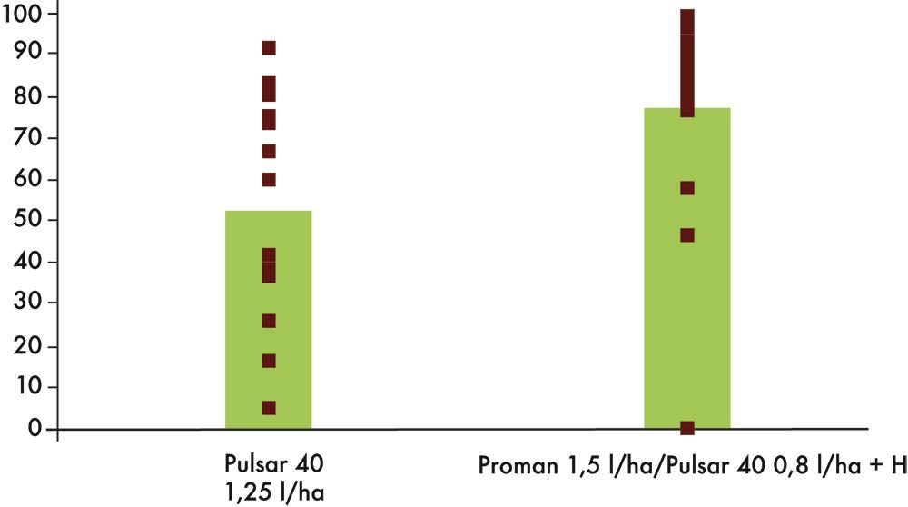Efficacité du programme à base de PULSAR 40 et PROMAN contre renouée liseron