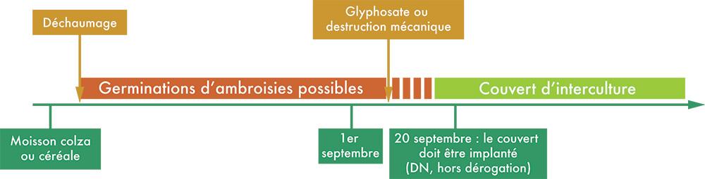 déchaumage ambroisie