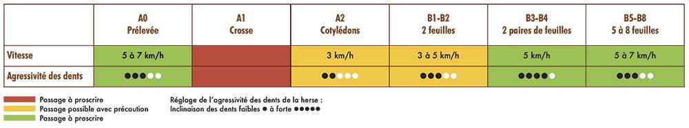 intervention herse étrille sur tournesol