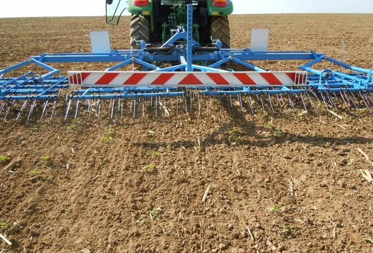 herse étrille sur tournesol