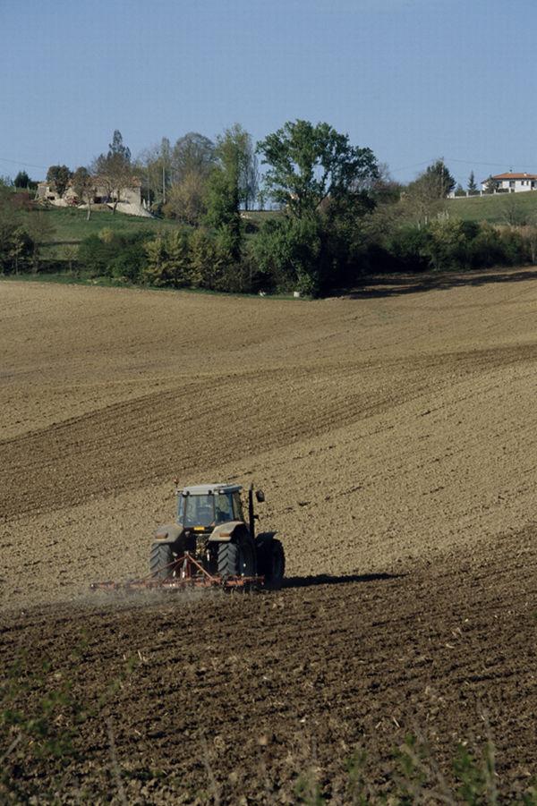 labour préparation sol pour tournesol