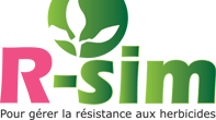 logo r-sim