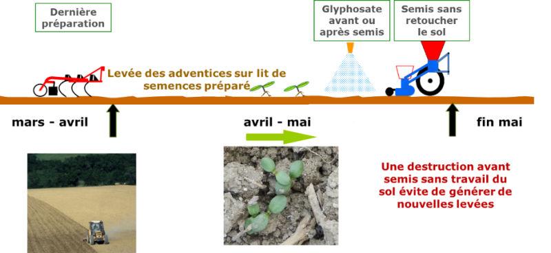 préparation lit de semence tournesol soja