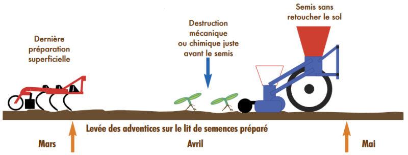 schéma faux-semis avant tournesol