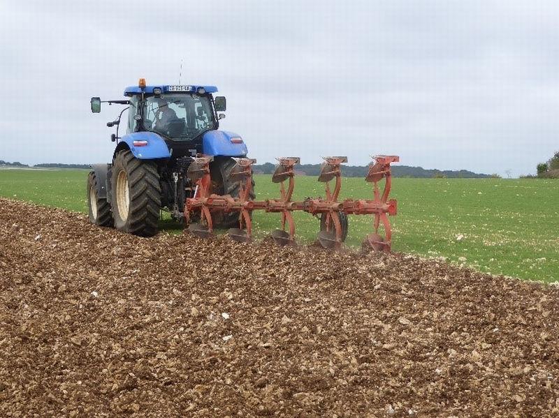 travail mécanique sur tournesol