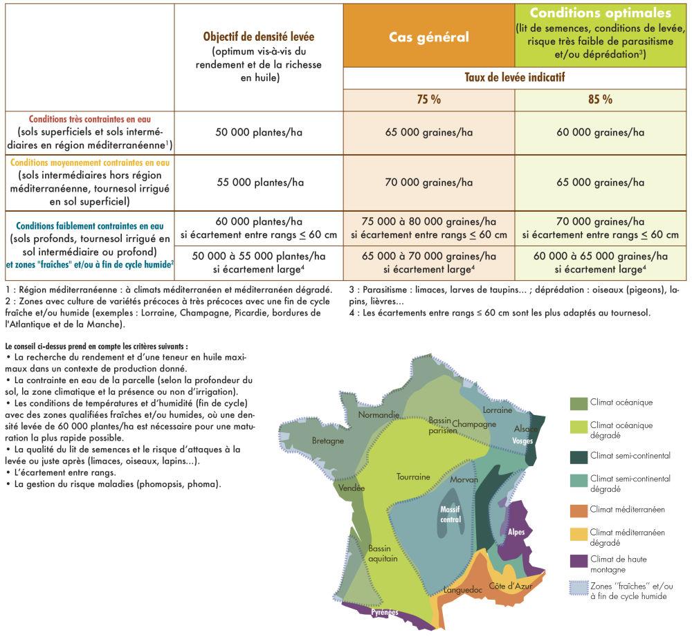 tableau densité de semis du tournesol