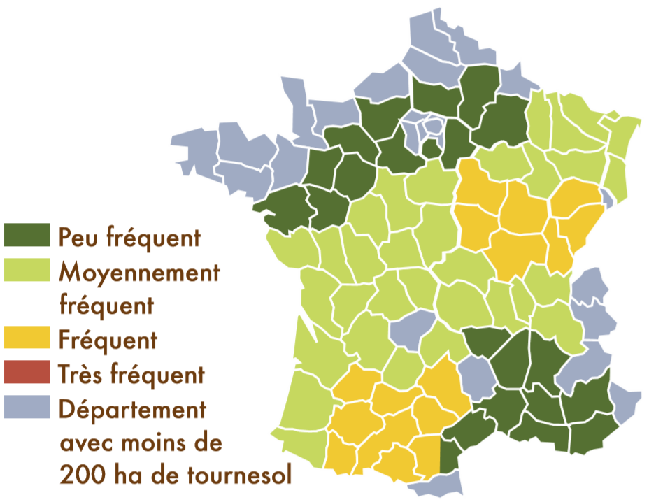 carte répartitio phomopsis 2019 tournesol