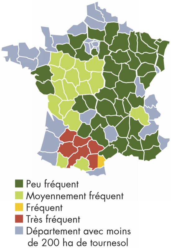 carte répartion régionale risque verticilium tournesol 2019