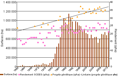 rendement tournesol