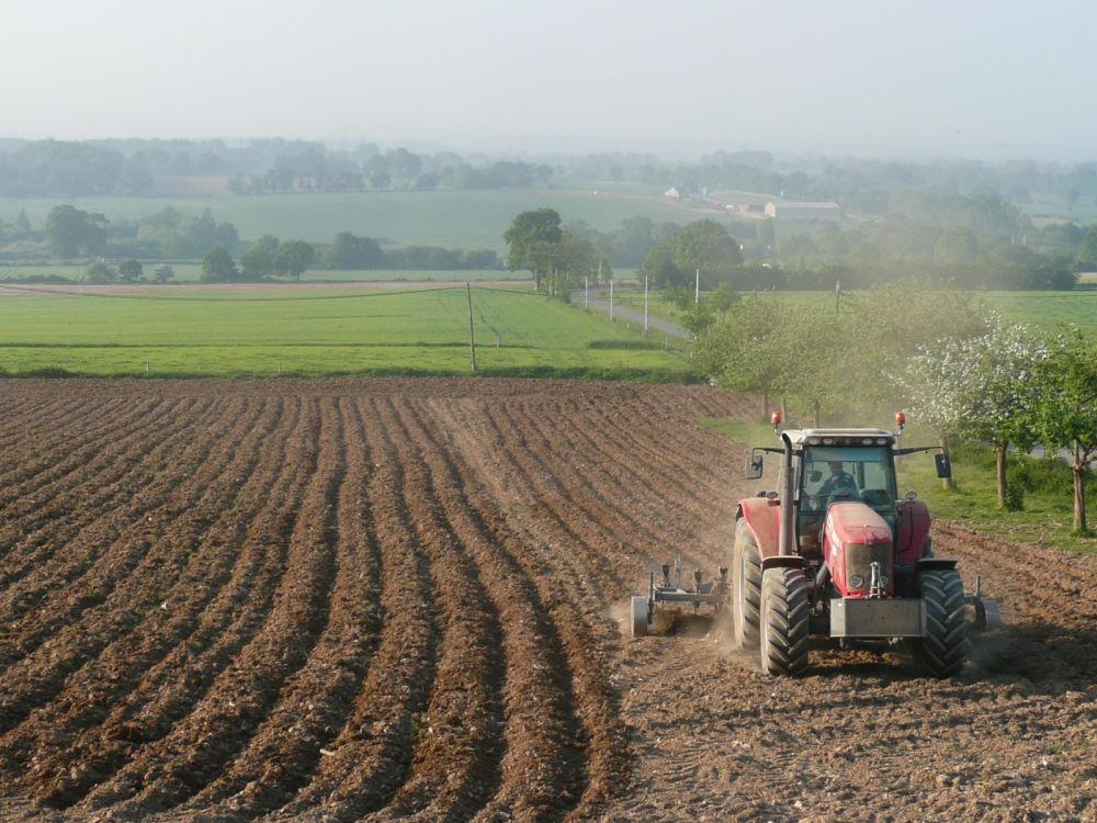 travail du sol profond avant soja