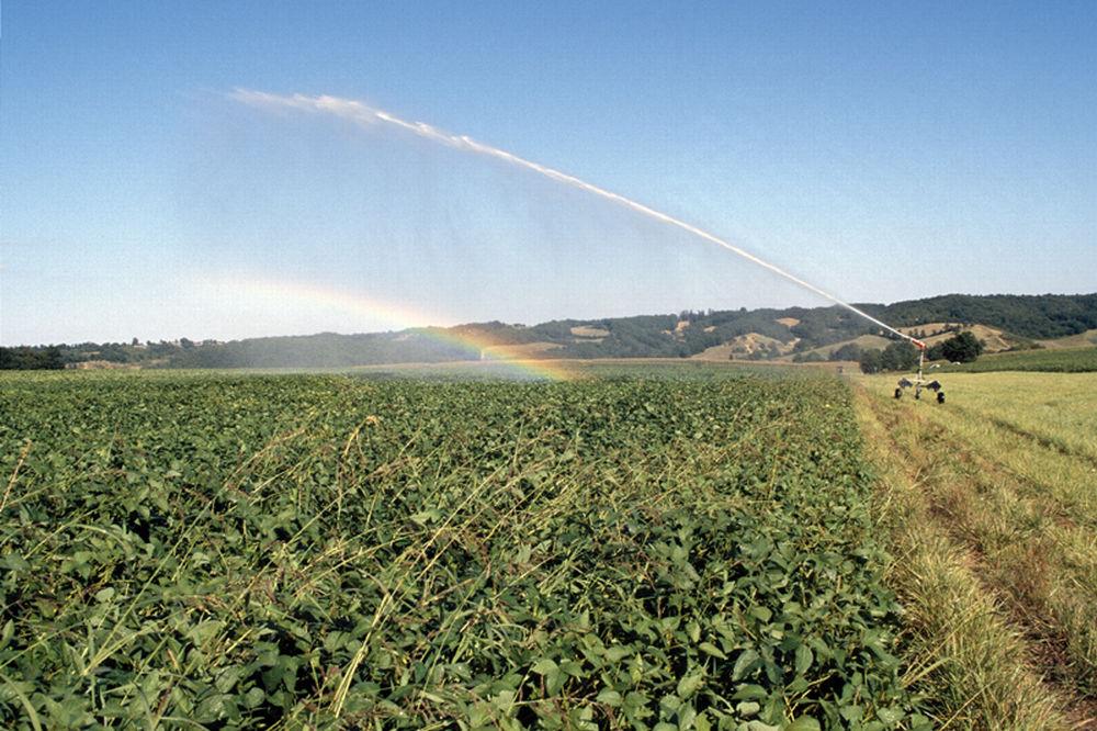 irrigation d'une parcelle de soja