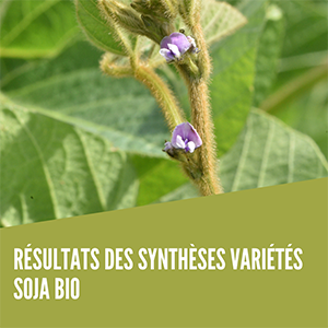 synthèse variétés soja bio