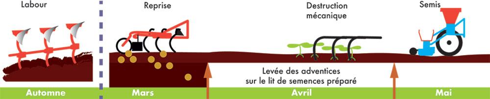 La pratique du faux-semis permet de réduire les adventices du soja