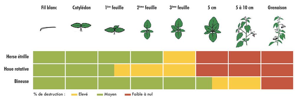  Plages d'intervention sur soja selon le stade des mauvaises herbes 