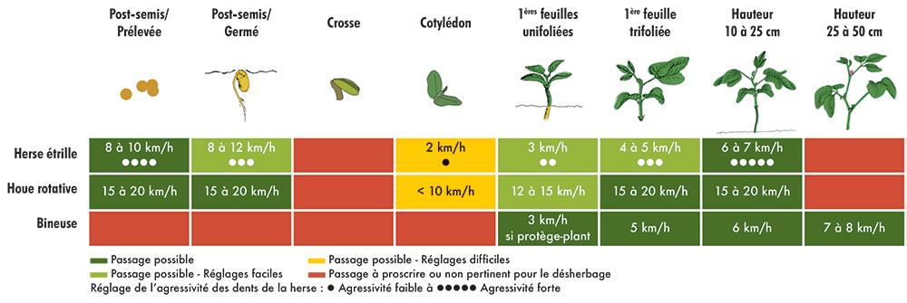  Plages d'intervention désherbage mécanique selon le stade du soja 