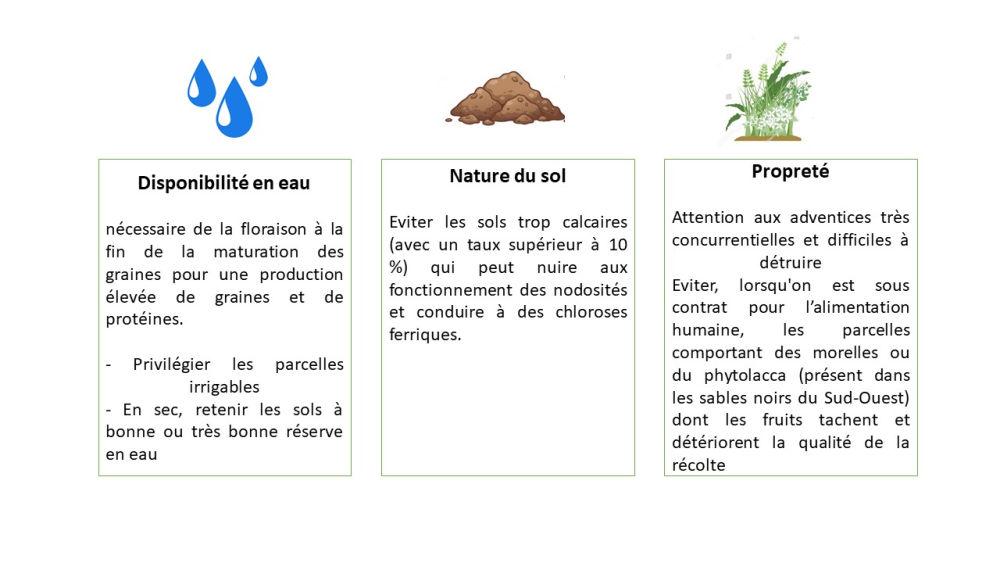 Choisir sa parcelle de soja en fonction de la disponibilité en eau, de la nature du sol et de sa propreté