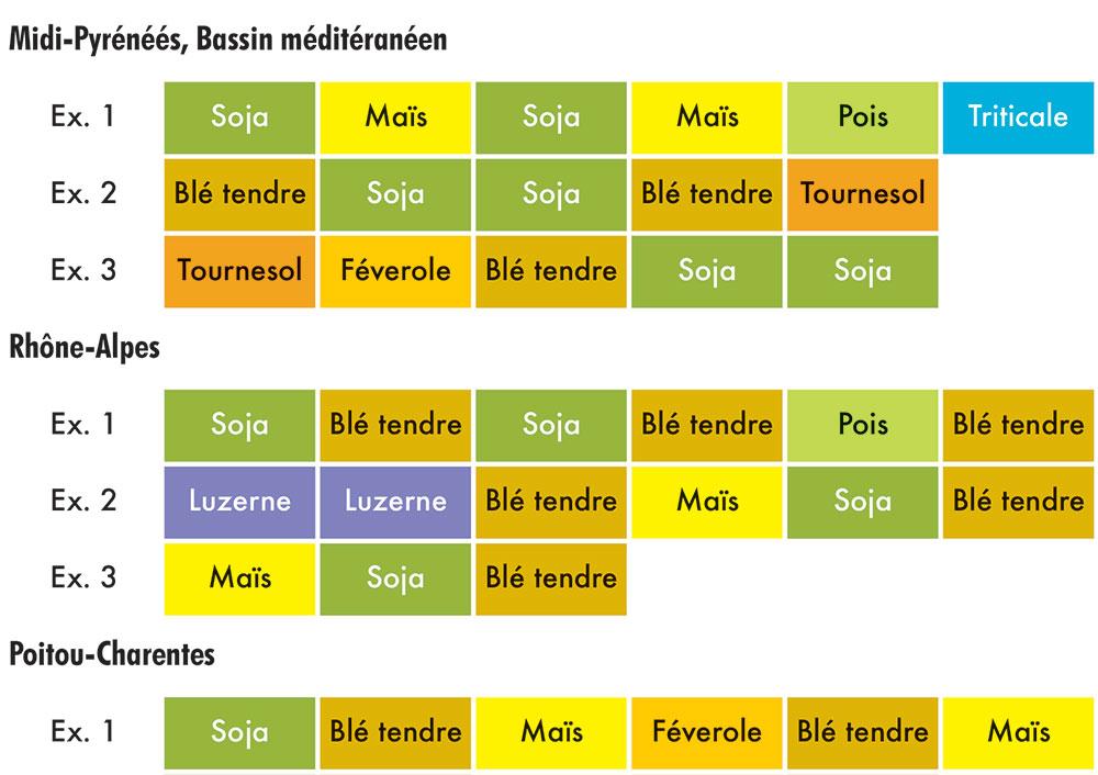 exemple de rotation avec du soja pratiquées en agriculture bio