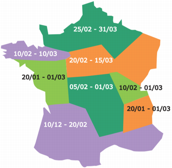 date de semis pois de printemps