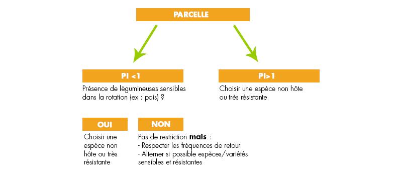 choisir la légumineuse en fonction du potentiel infectueux de la parcelle