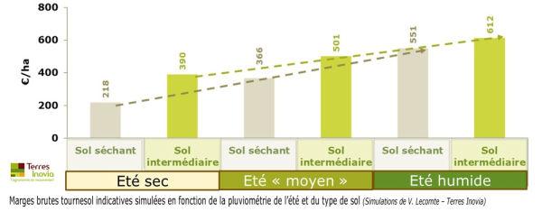 marge tournesol selon pluviometrie