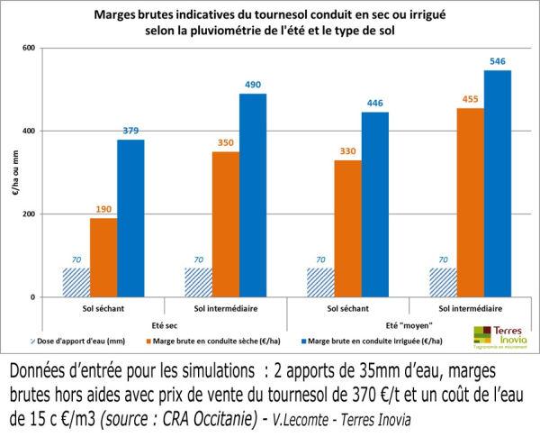 marge tournesl selon sol sec ou irrigué