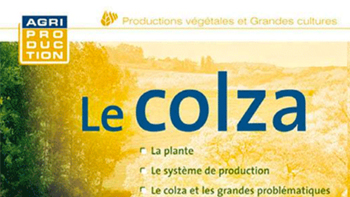 le-colza-ouvrage-de-reference