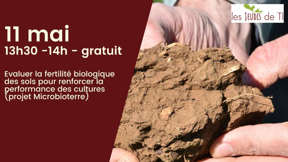 jeudi de ti 11 mai 2023
