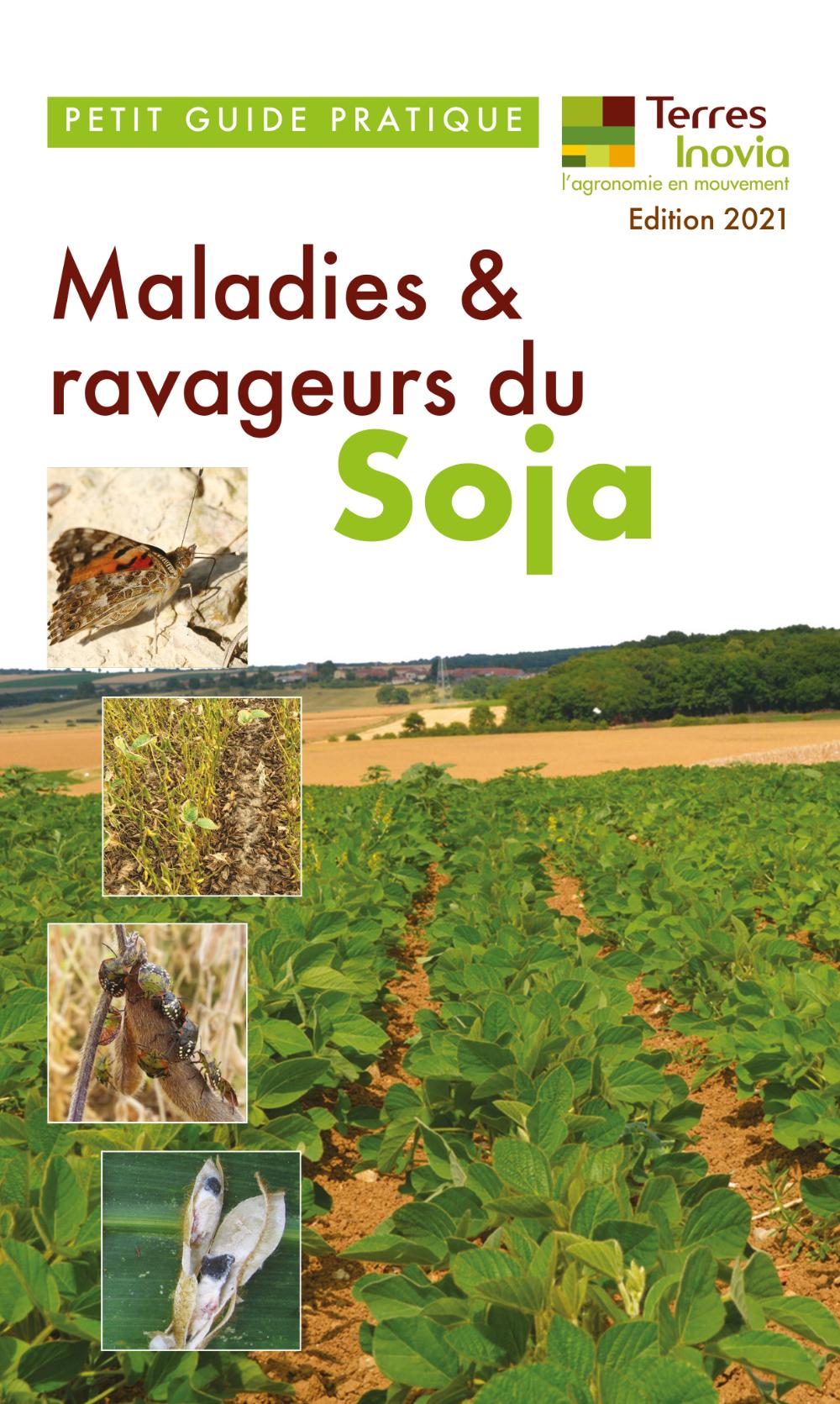 petit guide pratique maladies et ravageurs du soja Terres Inovia