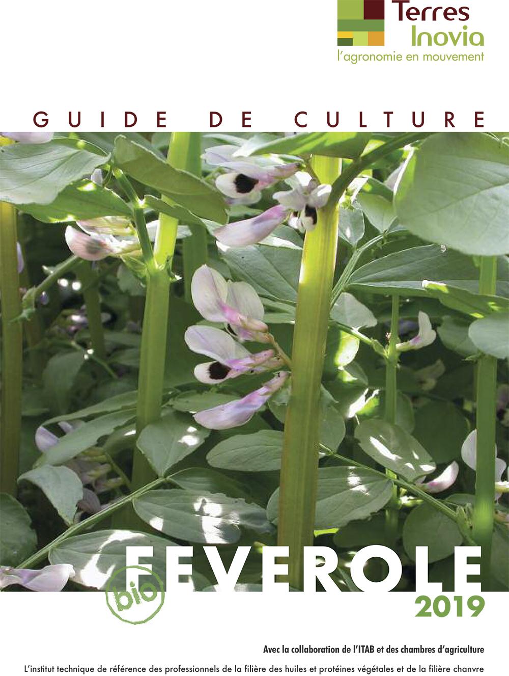 Guide de culture féverole bio 2019