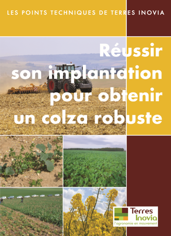 Réussir son implantation pour obtenir un colza robuste