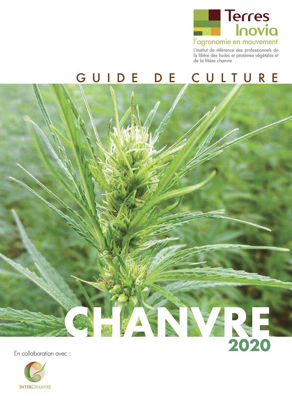 guide chanvre