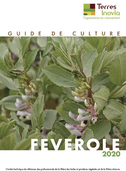 Guide de culture féverole 2020 Terres Inovia