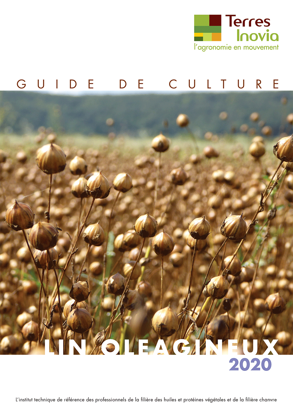 Guide de culture lin oléagineux 2020