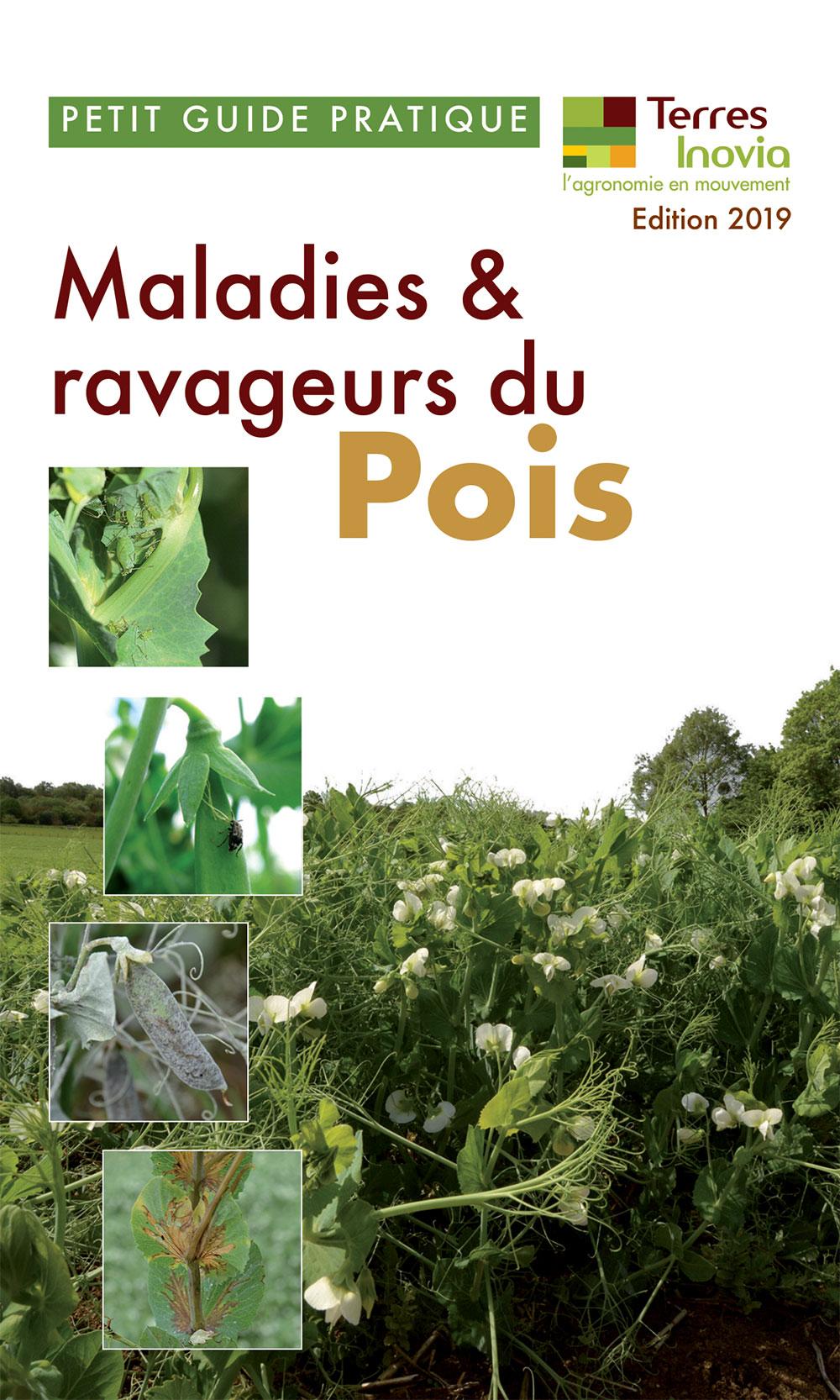 guide pratique maladies et ravageurs du pois